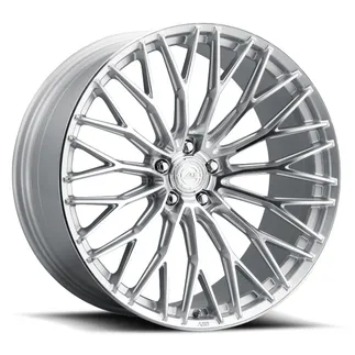 ESR FR100 22X10.5 ET BLANK (BLANK / 57.1) - Diamond Silver